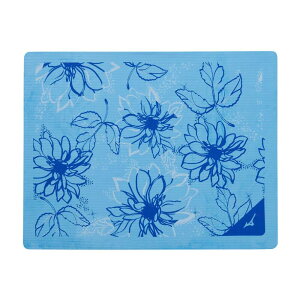 900~OFFN[|聚2NՁ Z[^I XC^I ~Ym z^I TERAKAWA AYA COLLECTION 숻ďC mizuno N2JYC508