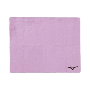 �X�C���^�I�� ���j �^�I�� �� 44×68cm N2JYD01068 �X�C�~���O�^�I�� �z�� �R�� ���n �唻