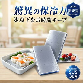 【2026年新モデル】【SUS304食品級・繰り返し使える】ステンレス保冷剤 2枚 ステンレス製 保冷剤 長時間キープ 冷却用品【品質保証】 錆びにくい 煮沸消毒対応 清潔 保冷プレート お弁当 アイスパック アイシング スポーツ観戦 キャンプ