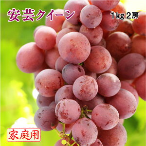 (8{蔭) |NC[ RY 500g×2[ 1kg ƒp 󂠂 Ԃǂ uhE  t[c