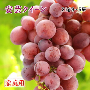 (8{蔭) |NC[ RY 3`5[ 2kg ƒp 󂠂 Ԃǂ uhE  t[c