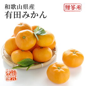 2025 お歳暮 ギフト 有田みかん 温州みかん 赤秀品 2L〜3Lサイズ 約2.5kg 和歌山県産 贈答用 みかん ミカン フルーツ 11月上旬頃より順次発送