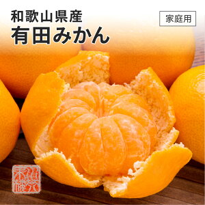 2025 Lc݂ B݂ 2L`3LTCY 2.5kg ƒp 󂠂 a̎RY ݂ ~J t[c 11{菇