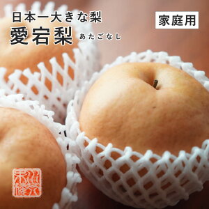 2025 RY  ƒp 󂠂 傫܂ v4kg   Ȃ iV t[c11{蔭