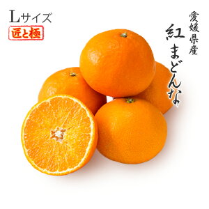 2025 お歳暮 ギフト 紅まどんな Lサイズ 約3kg 赤秀 匠と極 愛媛県 中島産 フルーツ プレゼント みかん ミカン 12月上旬頃より順次発送
