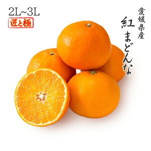 2025 Ε Mtg g܂ǂ 2L`3LTCY 3kg ԏG Ƌ Q Y t[c v[g ݂ ~J 12{菇