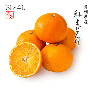2025 お歳暮 ギフト 紅まどんな 3L〜4Lサイズ 約3kg 赤秀品 愛媛県 フルーツ プレゼント みかん ミカン 12月上旬頃より順次発送