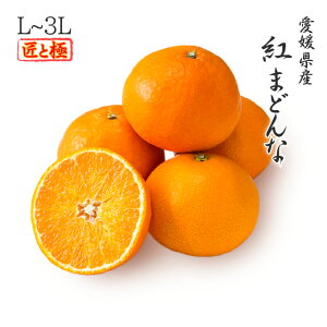 2025 お歳暮 ギフト 紅まどんな L〜3Lサイズ 約1.5kg 匠と極 愛媛県 中島産 フルーツ プレゼント みかん ミカン 12月上旬頃より順次発送