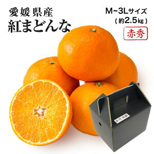 2025 お歳暮 ギフト 紅まどんな M〜3Lサイズ 約2.5kg 赤秀品 愛媛県 フルーツ プレゼント みかん ミカン 12月上旬頃より順次発送