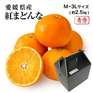 2025 お歳暮 ギフト 紅まどんな M〜3Lサイズ 約2.5kg 青秀品 愛媛県 フルーツ プレゼント みかん ミカン 12月上旬頃より順次発送