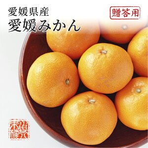 2025 Ε Mtg QY B݂ Gi S`LTCY 2.5kg p ݂ ~J t[c 11{菇