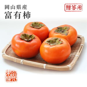 2025 RY xL` Ê` t[c Gi p MTCY 4kg t[c Mtg v[g 11{蔭