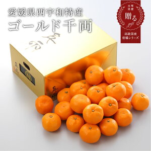 2025 Ε Mtg S[h痼 Q̊ۂ݂ ōuh G S`LTCY 3kg ݂ ~J t[c 11{菇