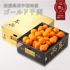 2025 Ε Mtg S[h痼 Q̊ۂ݂ ōuh G S`LTCY 5kg ݂ ~J t[c 11{菇