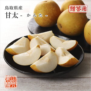 (9{菇) 挧Y  Ñ  G 5`9ʓ 2.5kg Ȃ iV t[c