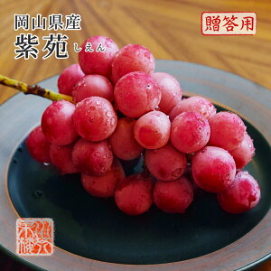 11{蔭  Mtg v[g t[c  Ԃǂ RY  Gi 1[ 700g ϔ