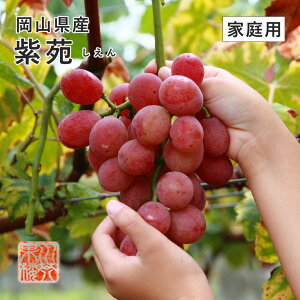 11{蔭  t[c  Ԃǂ RY  ƒp 󂠂 500g×2[