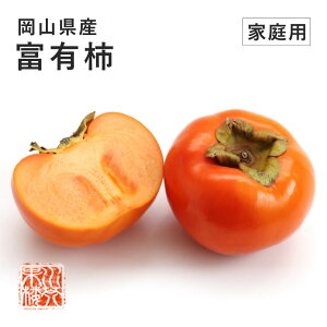 2025 RY xL` Ê` t[c ƒp 󂠂 E傫܂ 4kg t[c 11{蔭