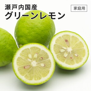 _ RY O[ 10kg ƒp 󂠂 傫s bNX h hJrܕsgp   10{蔭