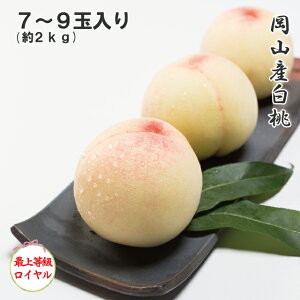 2026 ������ ���R�Y���� 7�`9�� ��2kg �ŏ㓙�� ���C���� ���Z���T�[�I�� ���ϔ����� �� �t���[�c ���� �M�t�g �v���[���g 7����{����蔭��