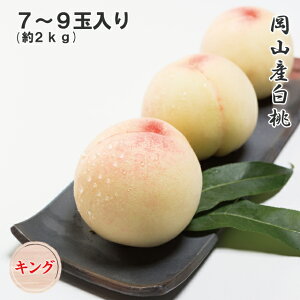 2026 ������ ���R�Y���� 7�`9�� ��2kg �L���O ���Z���T�[�I�� ���ϔ����� �� �t���[�c ���� �M�t�g �v���[���g 7����{����蔭��