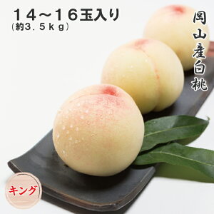 2026 ������ ���R�Y���� 14�`16�� ��3.5kg �L���O ���Z���T�[�I�� ���ϔ����� �� �t���[�c ���� �M�t�g �v���[���g 7����{����蔭��