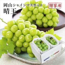 2024 お中元 岡山県特産 シャインマスカット 晴王 赤秀品 約500g×2房 化粧箱入り ぶどう ブドウ 葡萄 フルーツ ギフト プレゼント 7月上旬頃より発送