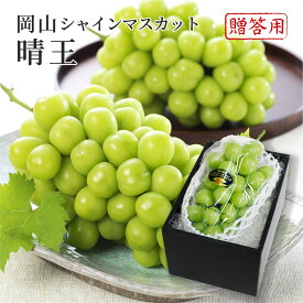 2024 お中元 岡山県特産 シャインマスカット 晴王 赤秀品 約800g×1房 化粧箱入り ぶどう ブドウ 葡萄 フルーツ ギフト プレゼント 7月上旬頃より発送