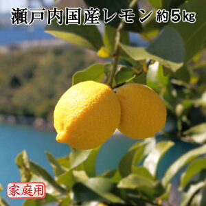 瀬戸内国産レモン 約5kg ご家庭用 送料無料
