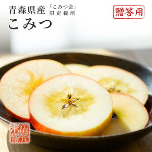 2025 Ε Mtg XY ݂ I 6`13 2kg ɂ̖ t[c v[g ь S 12{菇