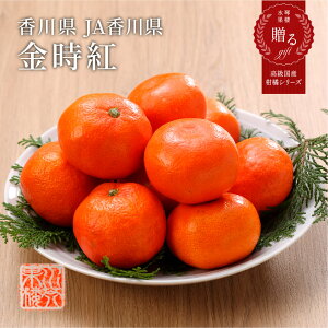 2025 Ε Mtg g݂ Gi 2S`MTCY 5kg 쌧Y ϔ ݂ ~J t[c 12{蔭