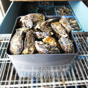 2025 y y kty ˓sWvY  5kg 60 Yn JL  Mp 11tw