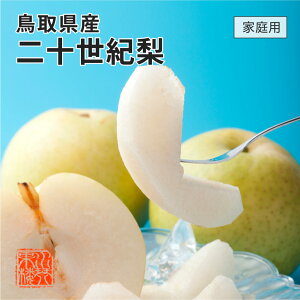 (9{蔭)  Ȃ iV \I 20I ƒp 󂠂 傫܂ 10kg 挧Y