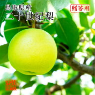 (9月上旬頃より発送) 梨 なし ナシ 二十世紀梨 20世紀梨 青秀品 6～10玉 約2.5kg 鳥取県産 化粧箱入り 敬…