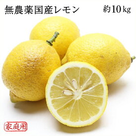 無農薬 岡山県産 国産レモン 約10kg 家庭用 訳あり 大きさ不揃い ワックス 防腐剤 防カビ剤不使用