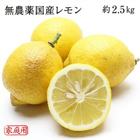 無農薬 岡山県産 国産レモン 約2.5kg 家庭用 訳あり 大きさ不揃い ワックス 防腐剤 防カビ剤不使用