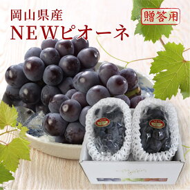 【10%OFFクーポン対象】2026 お中元 ギフト 葡萄 ぶどう 岡山県産 ニューピオーネ 赤秀品 約600g×2房 化粧箱入り プレゼント フルーツ 6月下旬頃より発送