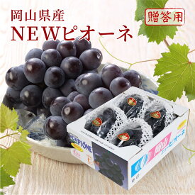 【10%OFFクーポン対象】2026 お中元 ギフト 葡萄 ぶどう 岡山県産 ニューピオーネ 青秀品 約2kg 3～5房 化粧箱入り プレゼント フルーツ 6月下旬頃より発送