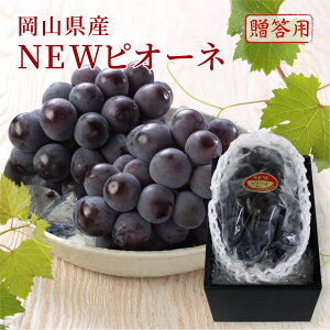 2025  Mtg  Ԃǂ RY j[sI[l Gi 1[500g ϔ v[g t[c 6{蔭