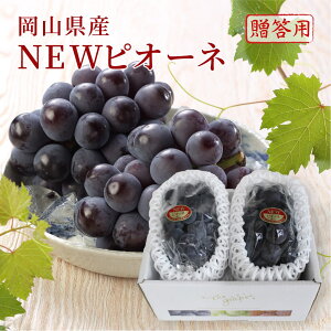 2025 j[sI[l Gi 700g×2[ RY Mtg v[g t[c  Ԃǂ 9{蔭