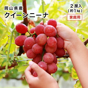 NC[j[i ƒp 󂠂500g×2[ 1kg RY Ԃǂ uhE 8{菇