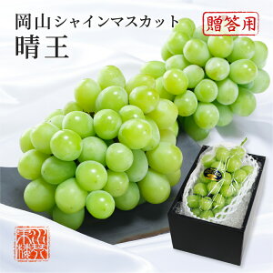 2025 VC}XJbg  Gi 1[900g ϔ RY Ԃǂ uhE  t[c Mtg v[g 9{蔭