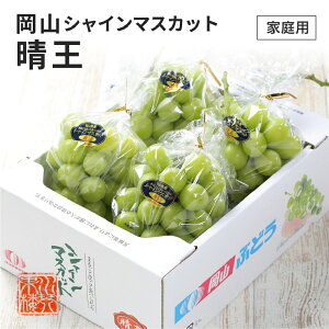 2025 VC}XJbg  ƒp 󂠂 3`5[ 2kg RY Ԃǂ uhE  t[c 9{蔭