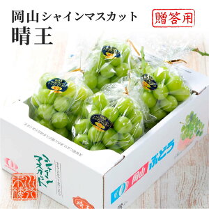 2025 VC}XJbg  ԏGi 3`5[ 2kg ϔ RY Ԃǂ uhE  t[c Mtg v[g 9{蔭