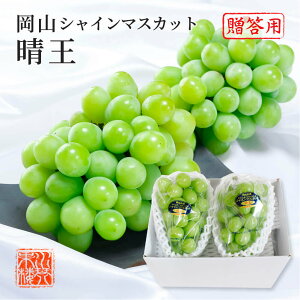 2025 VC}XJbg  ԏGi 500g×2[ ϔ RY Ԃǂ uhE  t[c Mtg v[g 9{蔭