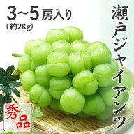 【10%OFFクーポン対象】 瀬戸ジャイアンツ 赤秀品 大房 3～5房 約2kg 岡山県特産 ぶどう ブドウ 葡萄 フ…