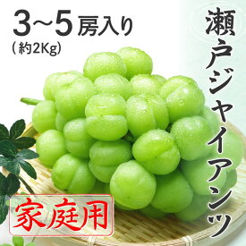 【10%OFFクーポン対象】 瀬戸ジャイアンツ 家庭用 訳あり 3～5房 約2kg 岡山県特産 ぶどう ブドウ 9月下旬頃より順次発送