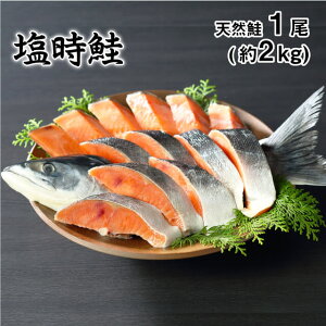 o[xL[  VR 1/2kg 10lO Mtg CY