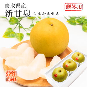 (9{菇) 挧Y  VÐ 񂩂񂹂 Gi 3LTCY 350g×3ʓ Ȃ iV t[c