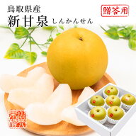 2026 鳥取県産 梨 新甘泉 しんかんせん 青秀 5～8玉入り 約2kg なし ナシ フルーツ 9月上旬頃より順次発…